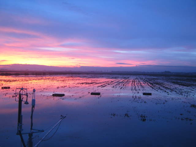 Nice sunset