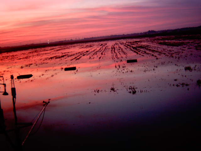 Nice sunset