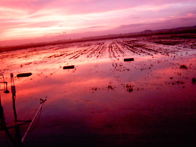 Nice sunset