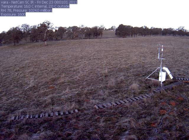 Frost on the ground at Vaira