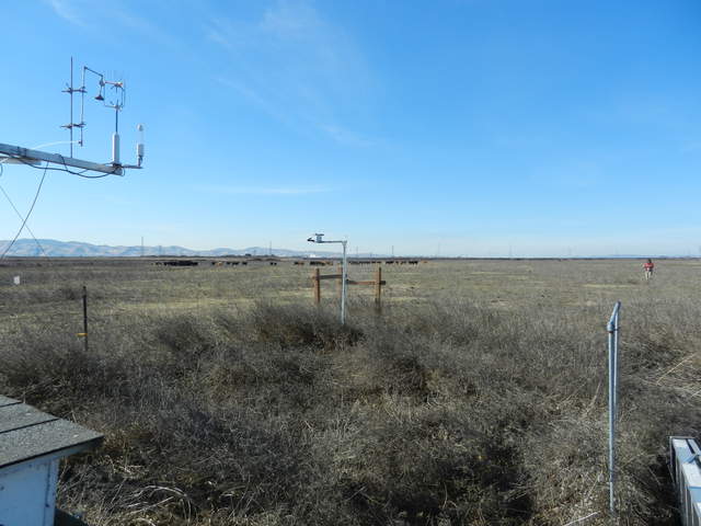 Sara at the field site