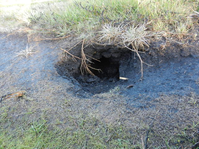 Hole in levee road to tower.