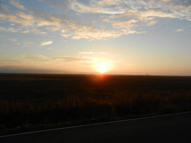 Dawn