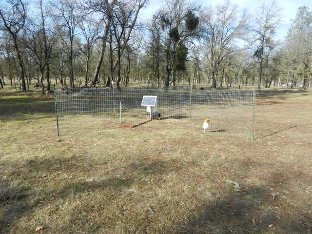 OSU soil moisture station 3 south east of tower.
