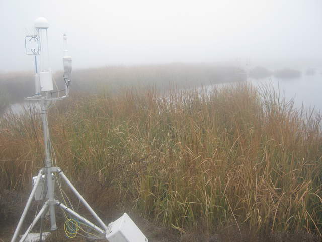 Foggy day