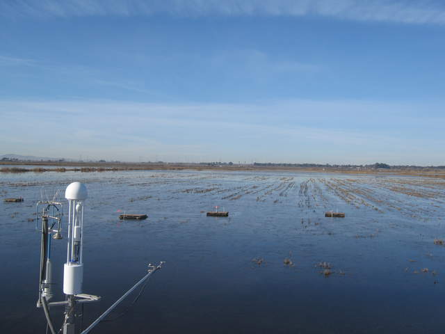 LI7700 on tower, ice on water