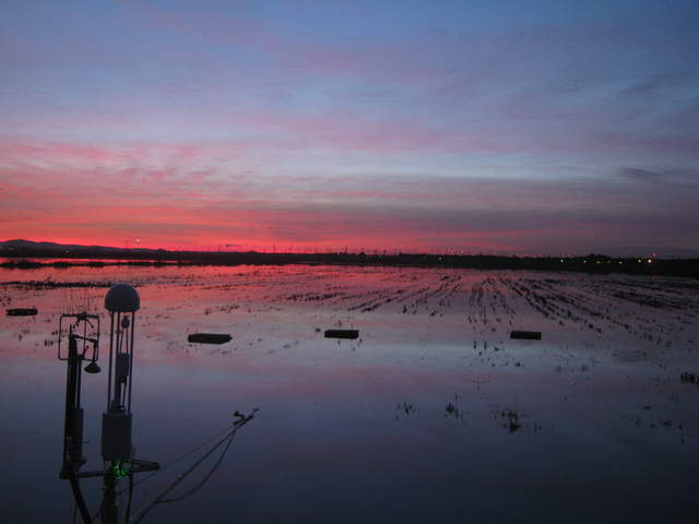 Eddy sensors and nice sunset over flooded rice field