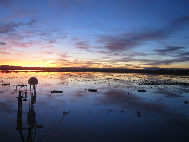 Beautiful sunset over flooded rice field