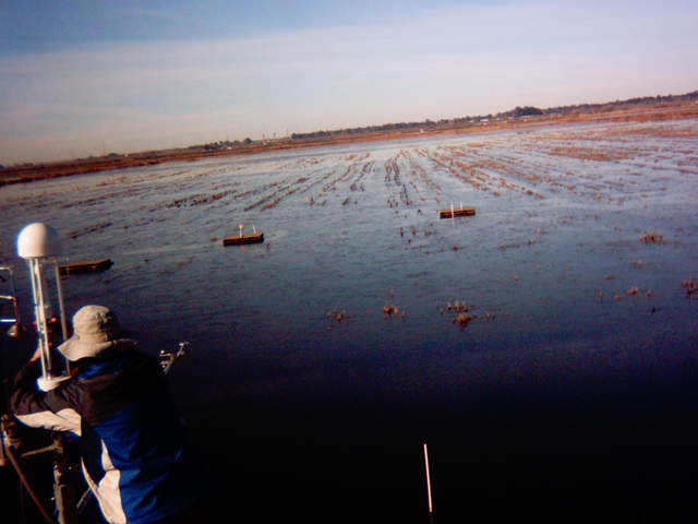 Joe working on tower at flooded rice field