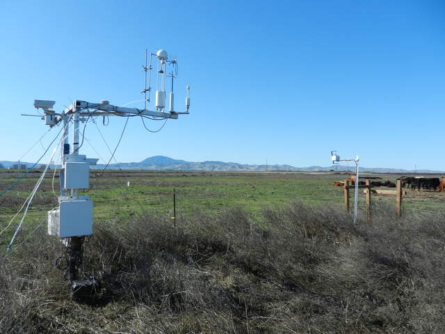 Eddy tower, Mt Diablo and cows