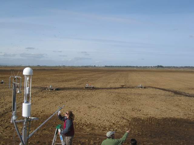 Jaclyn and Dennis doing fieldwork at rice paddy