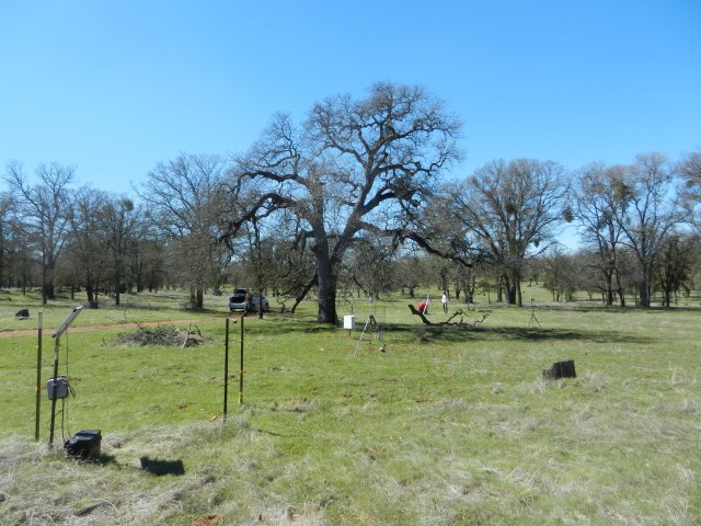 Setting up for terrestrial Lidar survey at Tonzi