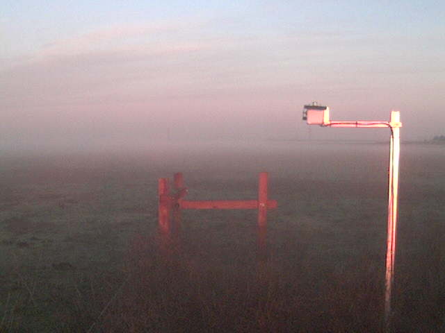 Morning fog