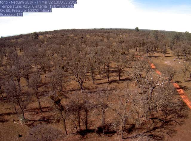 Fieldwork near Jessicas (liukangs) tree