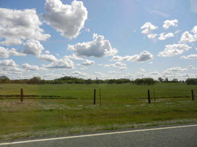 Nice puffy clouds over green pasture