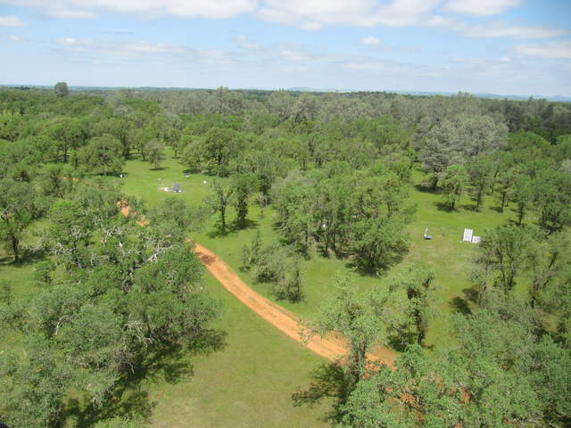 View of dirt road through green woodland from tower top