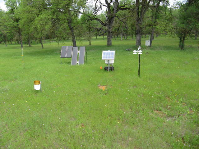 Green grass at OSU AirMOSS site one