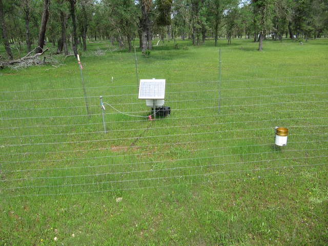 Green grass at OSU AirMOSS site three