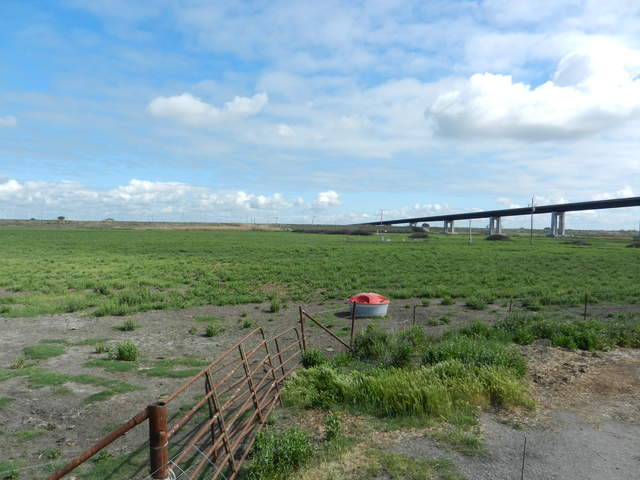 View of green cow pasture and bridge