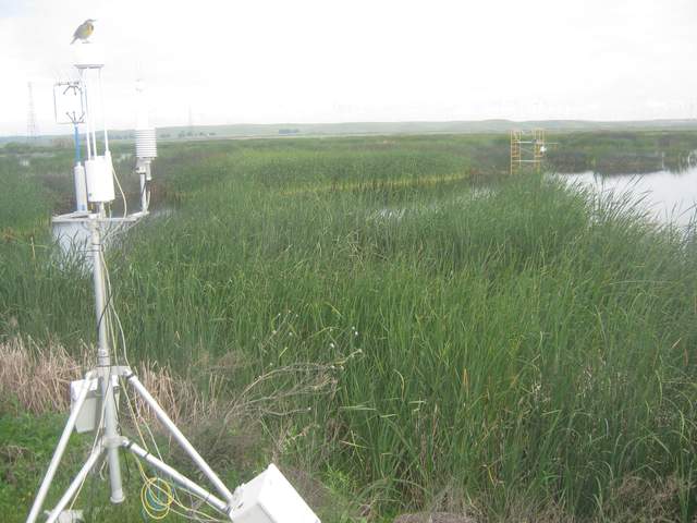 Meadow Lark on LI7700