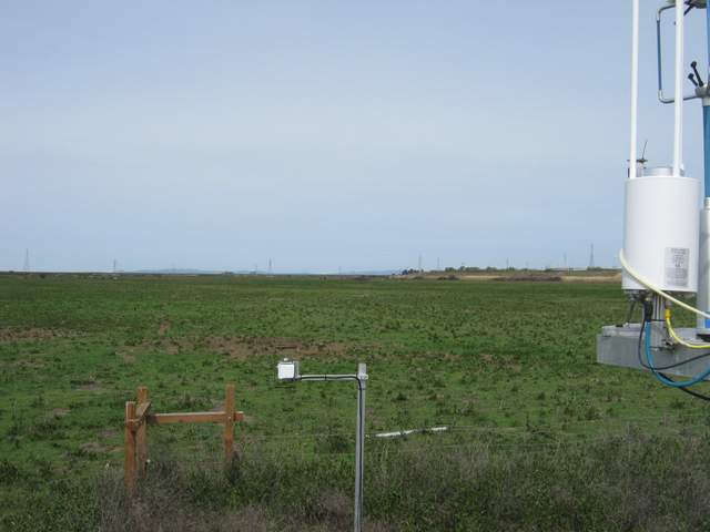 Phenocam view of the cow pasture