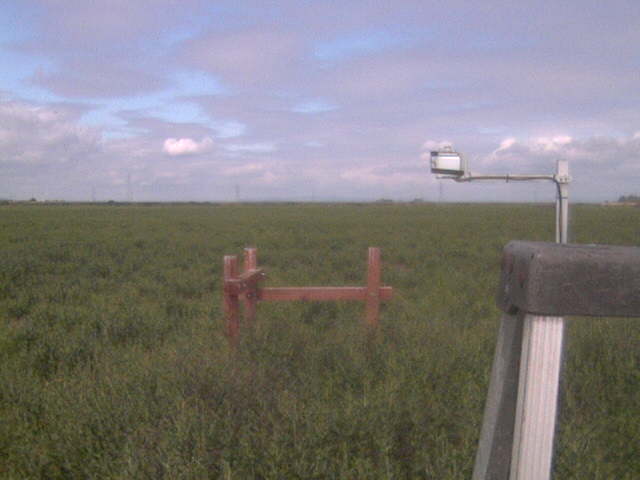 field work