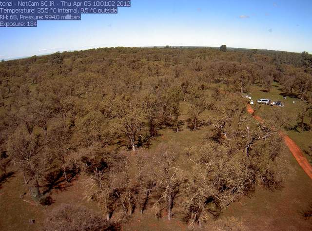 Fieldwork near Jessicas (liukangs) tree setting up Lidar profiler