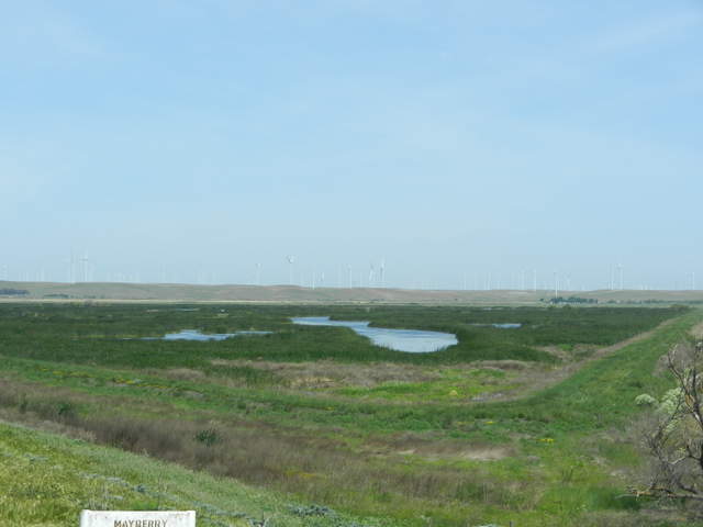 View of wetland from "Mayberry Farms" metal sign