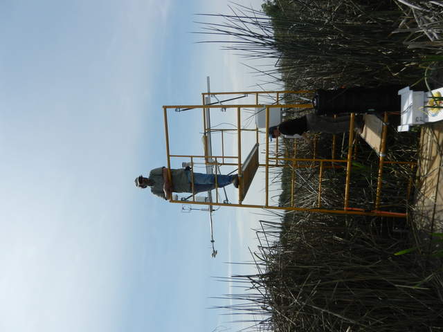 Dennis admires the new tower