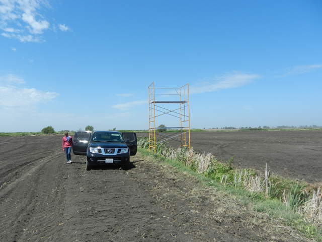 Setting up eddy tower on the corn field