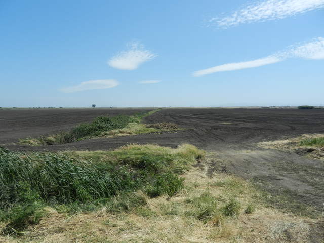 View of the scaffolding for the Corn site