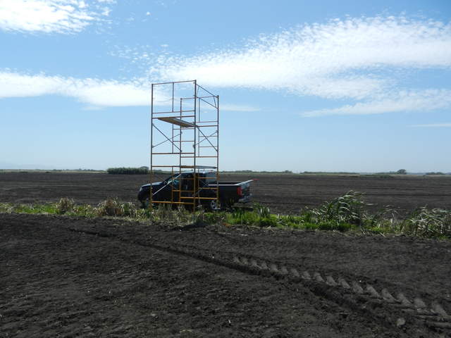 Scaffolding and truck at new corn site
