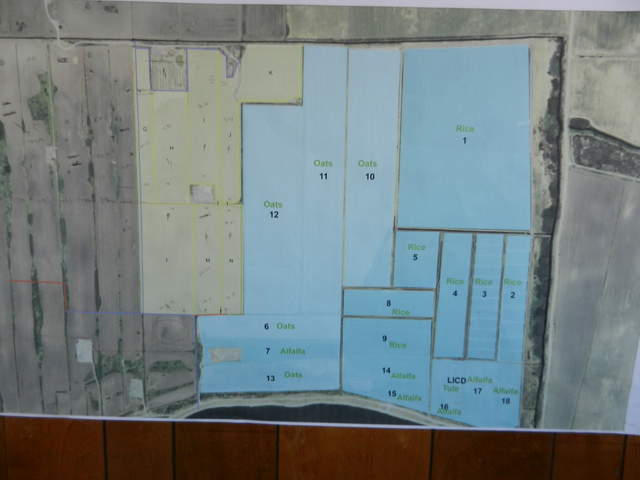Map of the rice fields