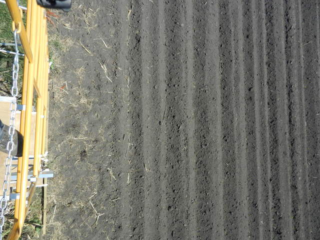 View down from top of scaffolding of row furrows