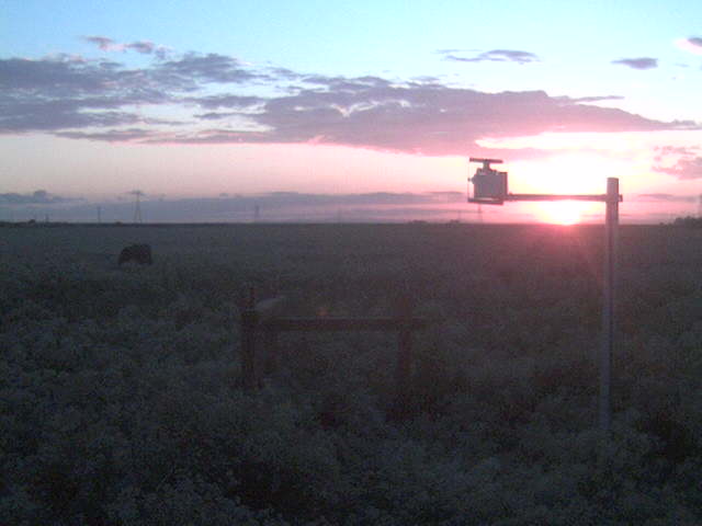 Nice Sunset