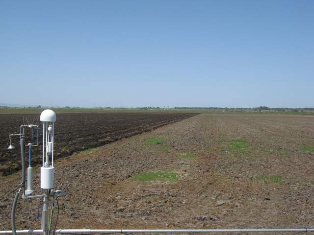 Plowing the field
