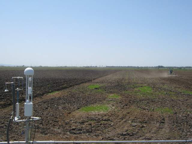 Plowing the field