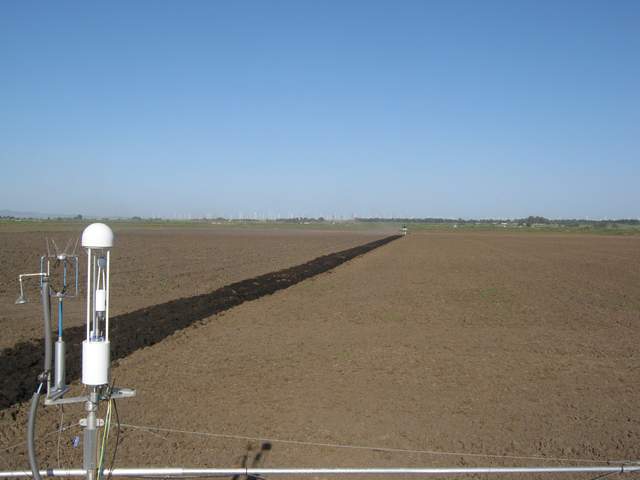 Plowing the field