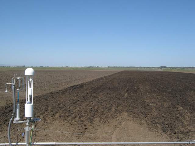 Plowing the field
