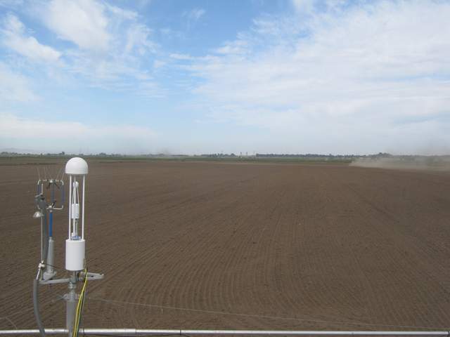 Planting