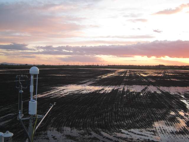 Nice sunset
