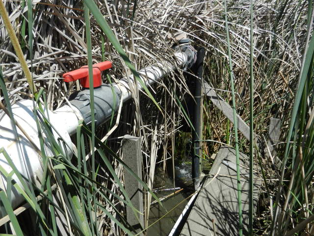 Water inlet 