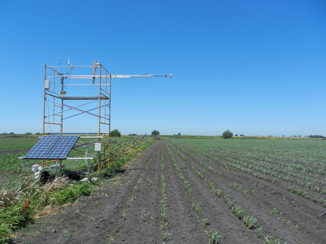 Eddy tower between sprouting corn fields