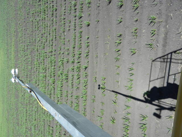 Radiometer boom over the corn field