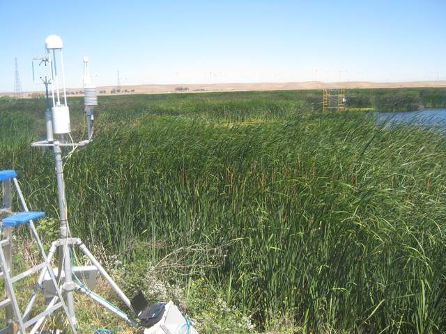 Field work