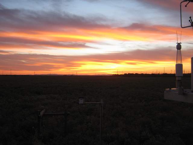 Nice sunset