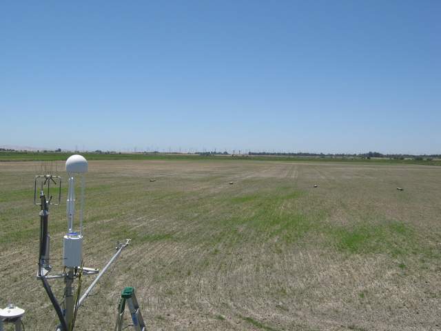 Field work