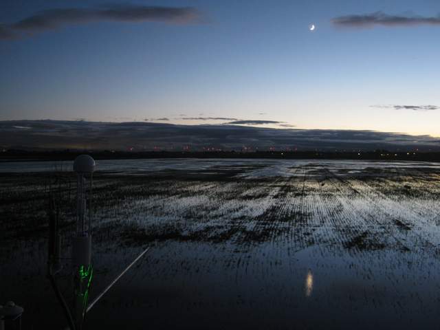 Moon after sunset