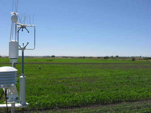 view of field site