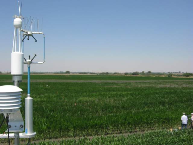 Fieldwork